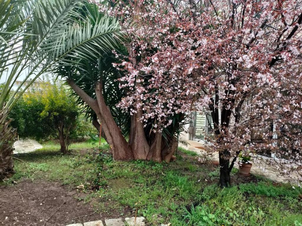 Giardino A Mare Apartment Bari Exterior foto